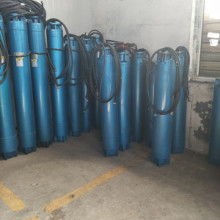  山東省莘縣九州微型泵廠(chǎng) 主營(yíng) 微型深井泵