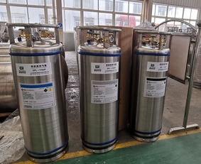 195l杜瓦罐廠(chǎng)家 杜瓦罐 山東耐捷科技